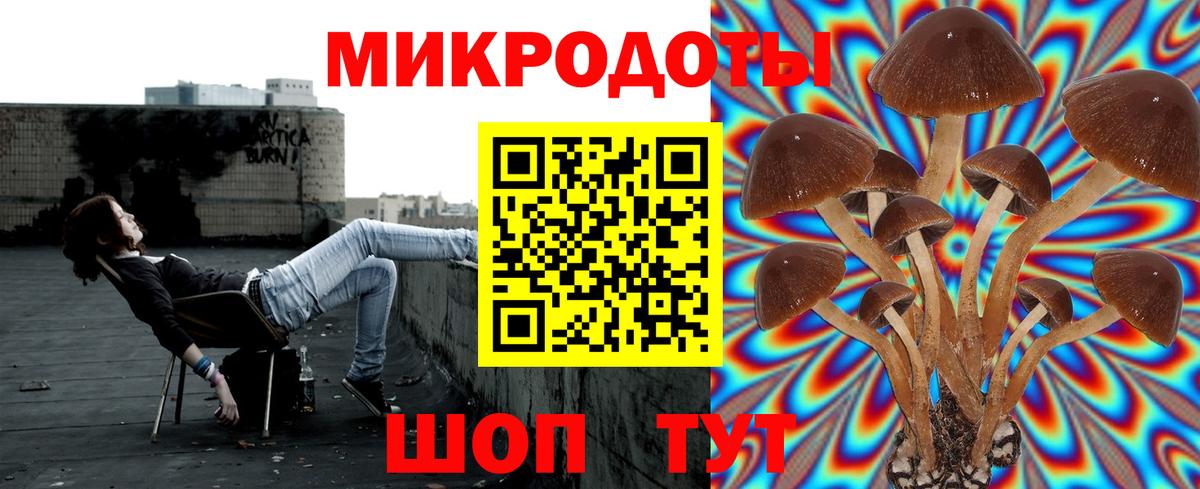 Ростов Великий  Псилоцибиновые грибы ЛСД  Вход с VPN 